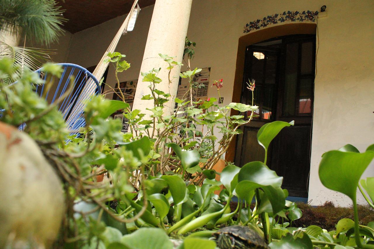 Hostal Luz De Luna Nuyoo Oaxaca Exterior foto